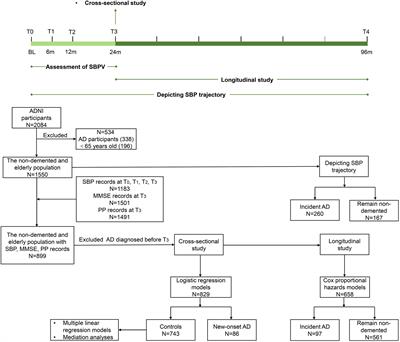 Systolic blood pressure variability in late-life predicts cognitive trajectory and risk of Alzheimer’s disease